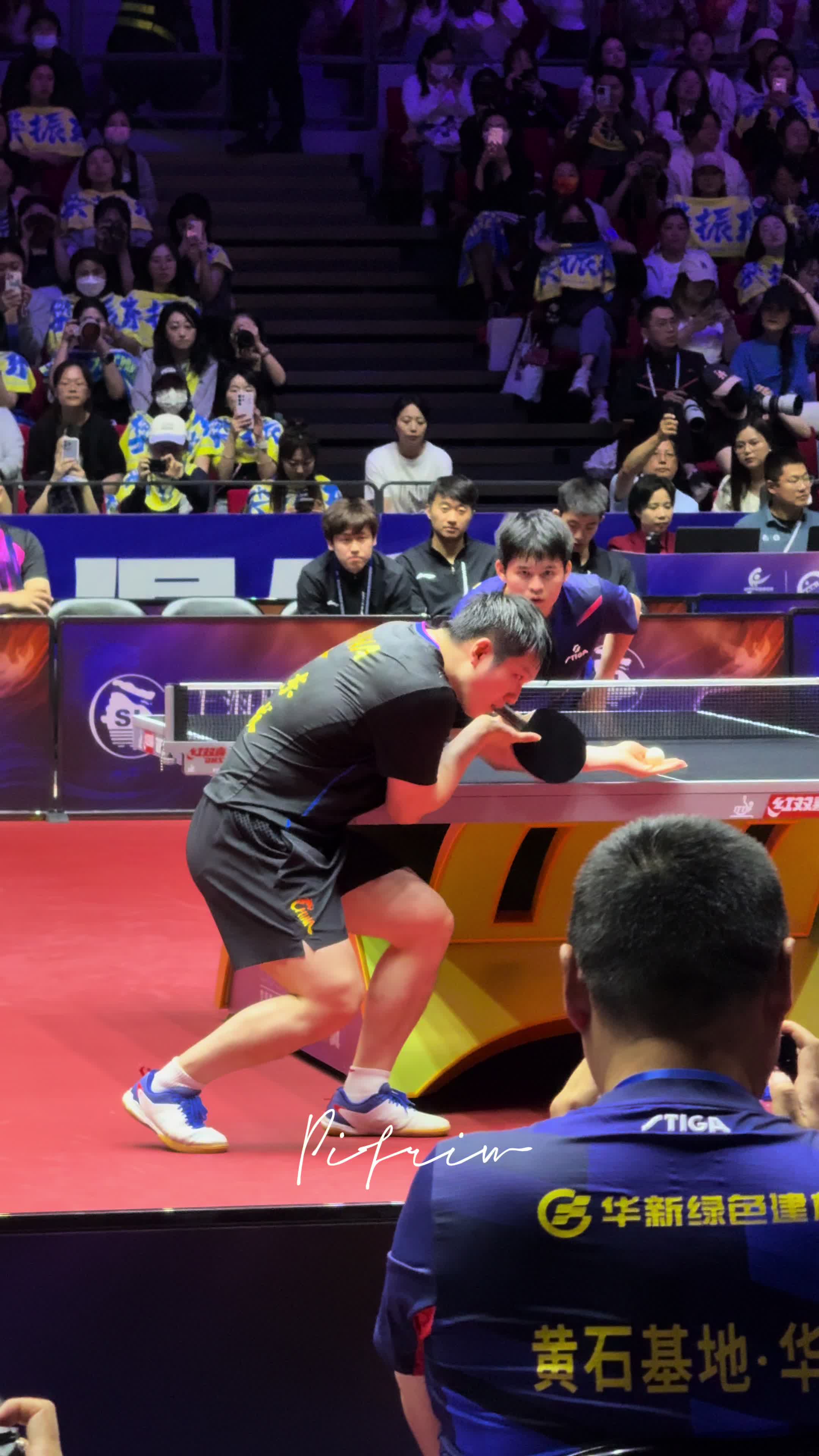 包含波兰乒乓球队鏖战日本乒乓球队,樊振东统治全场的词条 包含波兰乒乓球队鏖战日本乒乓球队,樊振东统治全场的词条